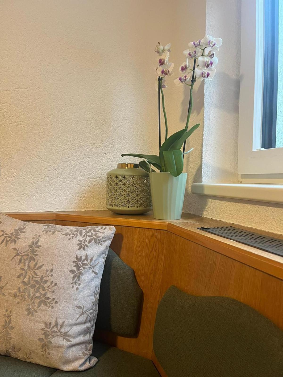 Haus Evi Apartman Oetz Kültér fotó